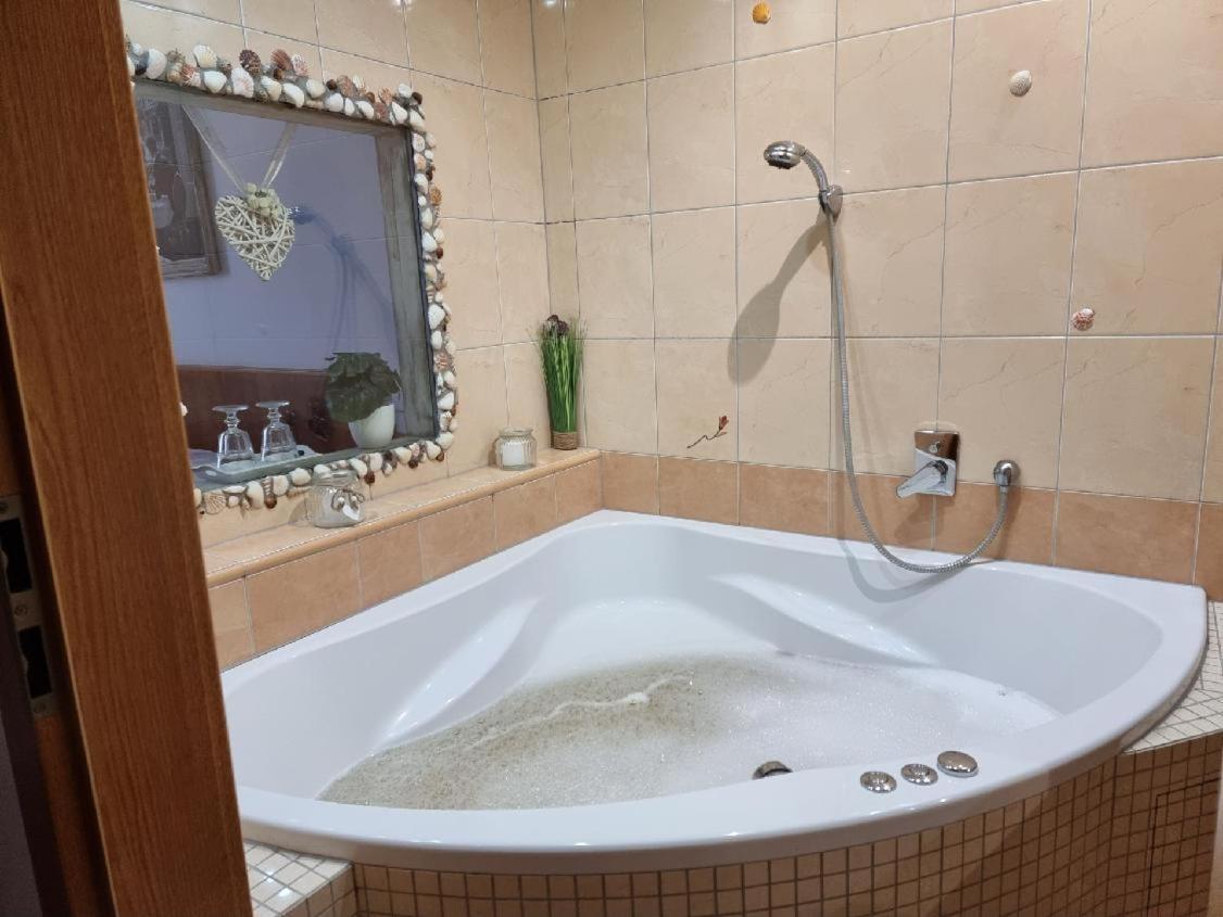 Hotel Pansky Dum Blovice Екстериор снимка